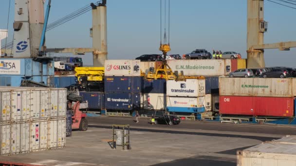 Lisbon Portugal August 2022 Port Crane Loading Commercial Cargo Container — Stock Video