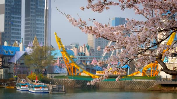Seoul Corea Del Sur Abril 2017 Sakura Floreciente Con Parque — Vídeo de stock