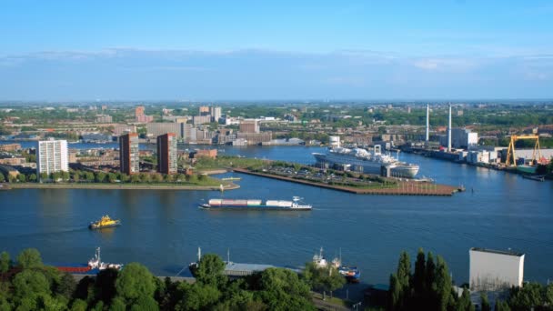 Rotterdão Países Baixos Maio 2017 Vista Cidade Roterdão Com Rotterdam — Vídeo de Stock