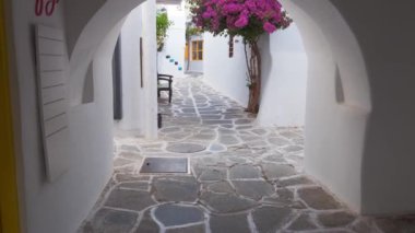 NAOUSA, GREECE - 27 Mayıs 2019: Yunanistan 'ın Paros Adası' nın ünlü turistik beldesi Paros 'ta, Naousa kasabasının çiçek açan begonvil çiçekli, badanalı evleri ile pitoresk caddede sabit bir kamerayla yürümek