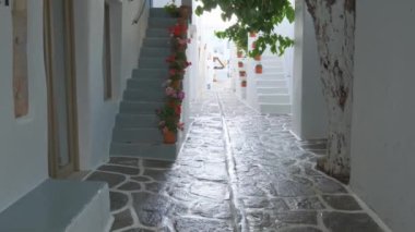 NAOUSA, GREECE - 27 Mayıs 2019: Yunanistan 'ın Paros Adası' nın ünlü turistik beldesi Paros 'ta, Naousa kasabasının çiçek açan begonvil çiçekli, badanalı evleri ile pitoresk caddede sabit bir kamerayla yürümek