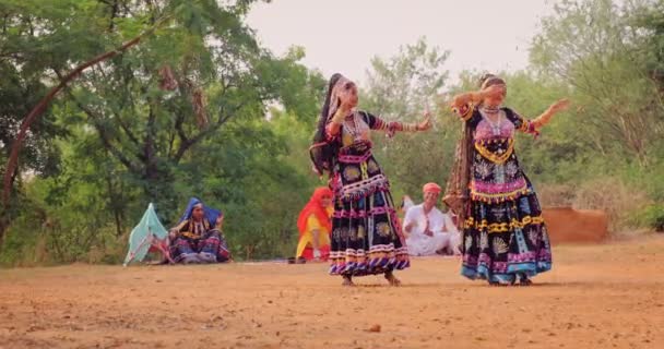 Shilpgram Rajasthan November 2019 Kalbelia Rajasthani Folkdans Rajasthan Framförd Dansare — Stockvideo