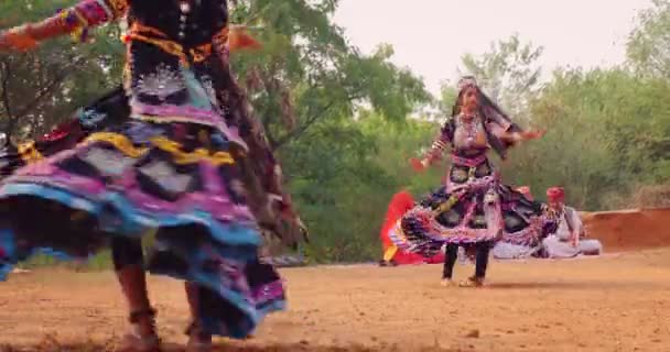 シルプグラム ラジャスターン 2019年11月9日 ラジャスタンのカルベリア ラジャスターハニの民俗舞踊は ウディプール近くのシルプグラム文化村でライブ音楽と伝統的なドレスでダンサーによって行われました — ストック動画