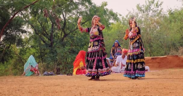 Shilpgram Rajasthan Shilpgram Rajasthan 2019年11月9日 在Udaipur附近的Shilpgram文化村 拉贾斯坦邦的Kalbelia Rajasthani民间舞蹈团由身着传统服装的舞者与现场音乐表演 慢动作 — 图库视频影像