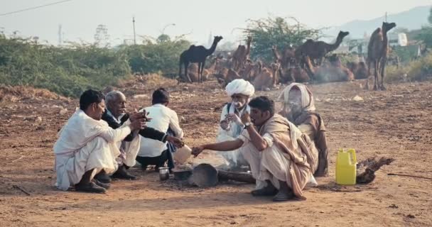 プーシュカル インド 2019年11月7日 インドの田舎の村人男性がプーシュカル ラクダフェア プーシュカル で喫煙とラクダ 年間有名なラクダと家畜フェアと観光名所 — ストック動画