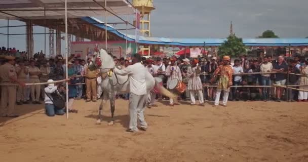 2019年9月6日 村での伝統的なフェスティバル馬のダンスパフォーマンスショー 馬はトレーナーの運転手とギャロップを動かします プーシュカル ラジャスターン インド サウンド — ストック動画