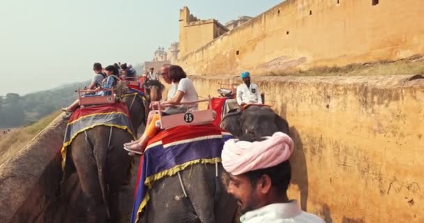 2019 코끼리를 라자스탄의 요새로 올라가는 관광객들 Pov Fpv 요새는 관광지 — 비디오