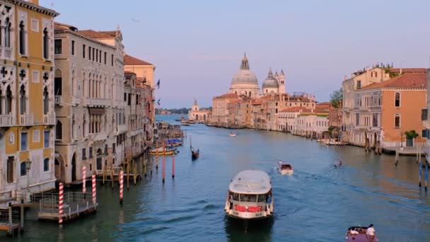 Venedik Talya Temmuz 2019 Günbatımında Ponte Dell Accademia Köprüsü Nden — Stok video