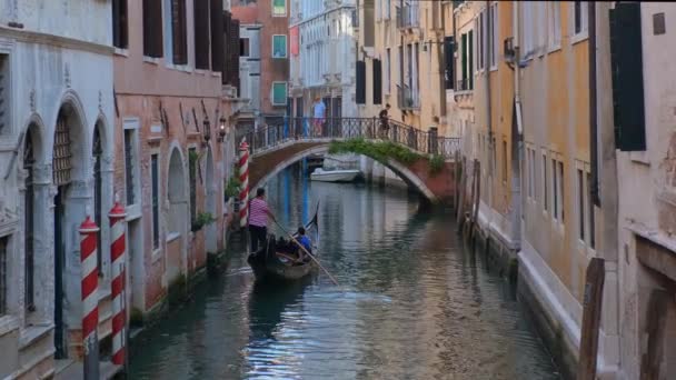 Venice Italy July 2019 Narrow Canal Colorful Old Houses Gondola — Stock Video