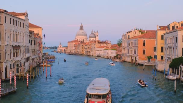 Venice Olaszország 2019 Július Kilátás Velence Grand Canal Csónakokkal Gondola — Stock videók
