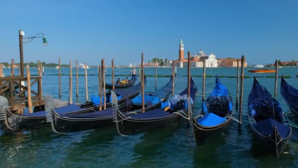 Venice Itálie Června 2019 Gondoly Benátské Laguně Náměstí Marka Kostelem — Stock video