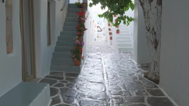 Naousa Grèce Mai 2019 Promenade Steadycam Dans Une Rue Pittoresque — Video