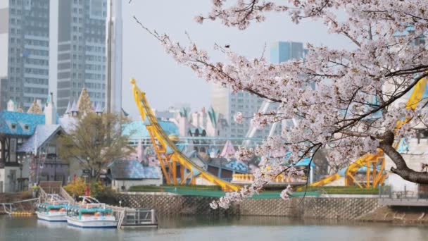 Seoul South Korea April 2017 Квітуча Сакура Розважальним Парком Lotte — стокове відео