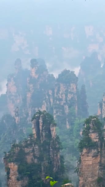 장가계 유명한 무릉원 Hunan 중국에서 구름에서 카메라 — 비디오