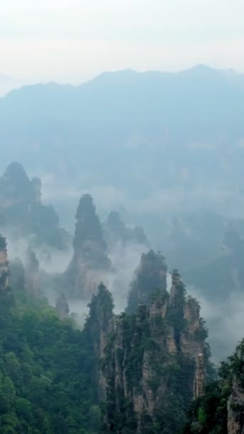 장가계 유명한 무릉원 Hunan 중국에서 구름에서 카메라 — 비디오