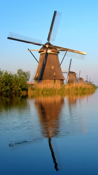 Väderkvarnar Den Berömda Turistanläggningen Kinderdijk Holland Vid Solnedgången Kinderdijk Nederländerna — Stockvideo