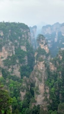 Çin - Zhangjiajie taş ünlü turistik uçurum Dağları sis bulutları Wulingyuan, Hunan, Çin, sütun. Kamera pan ile
