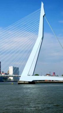 Rotterdam şehir manzarası ve Nieuwe Maas üzerindeki Erasmus köprüsü. Rotterdam, Hollanda. Kamera kaydıyla