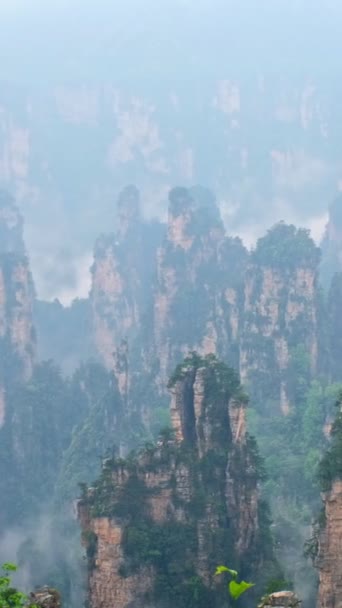 中国の有名な観光名所 ザンジャージー石柱 ウルチュアン フナン 中国の霧雲の山をクリフ カメラパン — ストック動画