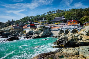 Deniz kıyısında Haedong Yonggungsa Tapınağı. Busan, Güney Kore