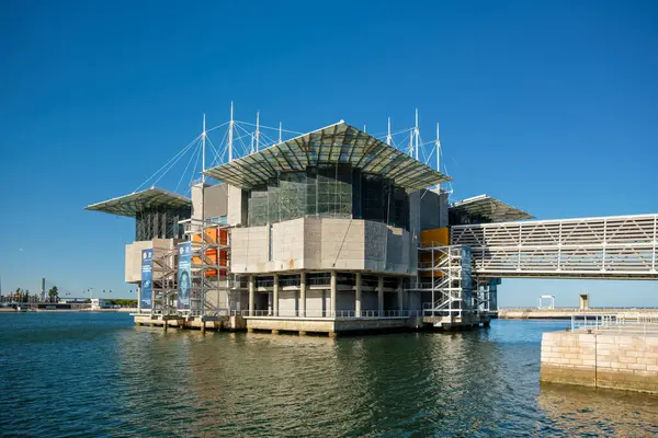 Lisabon Portugalsko Července 2023 Lisabon Oceanarium Jedním Největších Krytých Akvárií Stock Snímky