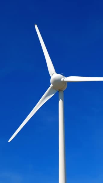 Zöld Megújuló Alternatív Energiaforrás Koncepció Szélerőmű Turbinák Villamos Energiát Termelnek — Stock videók