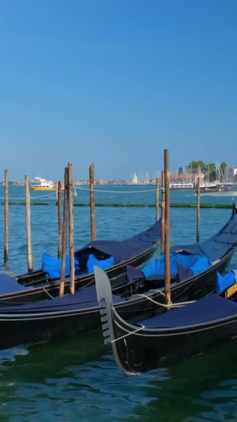 Romantic Vacation Venice Travel Background Gondolas Lagoon Venice Saint Mark — Stock Video