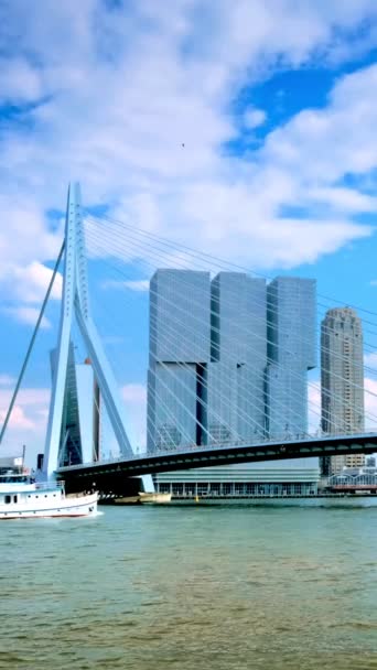 Rotterdam Cityscape Erasmus Bridge Nieuwe Maas Rotterdam Netherlands — Stock Video