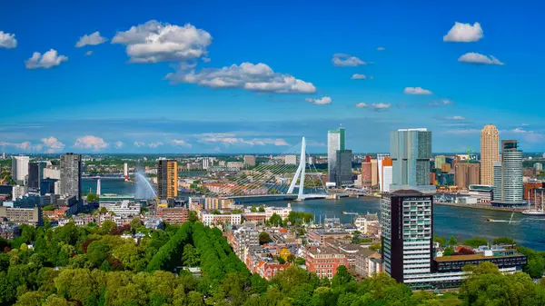 Panorama Van Stad Rotterdam Erasmusbrug Erasmusbrug Rivier Nieuwe Maas Van Stockfoto