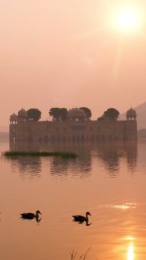 Jaipur 'daki ünlü Hint turist şehri Jal Mahal' de (Su Sarayı) sakin bir sabah. Etraftaki ördekler ve kuşlar dingin sabahın tadını çıkarıyorlar. Jaipur, Rajasthan, Hindistan