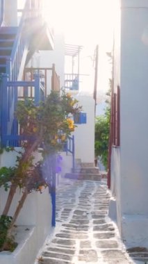 Yunanistan 'ın ünlü Mykonos adasında, Mykonos şehrinin mavi pencereli geleneksel beyaz boyalı evleri ve resimli manzaralı dar caddelerde sabit kameralı bir şekilde yürümek