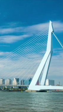 Rotterdam şehir manzarası ve Nieuwe Maas üzerindeki Erasmus köprüsü. Rotterdam, Hollanda
