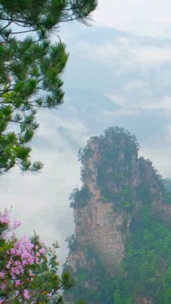 張り家界市石の有名な観光名所は 崖山武陵源 湖南省 中国のケーブル鉄道車リフトでは霧 雲の柱します カメラのパン — ストック動画