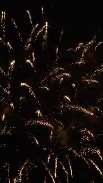 空の背景にあるリアルな花火 夜空に輝くカラフルな花火の抽象化 花火のお祝いについて — ストック動画