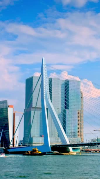 Krajobraz Miejski Rotterdamu Most Erasmus Nad Nieuwe Maas Przepływającymi Statkami — Wideo stockowe