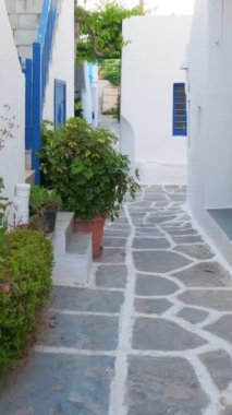 Yunanistan 'ın ünlü Paros Adası' ndaki Naousa kasabasının çiçek açan begonvil çiçekli geleneksel badanalı evleri ile pitoresk dar bir sokakta sabit kamerayla yürümek