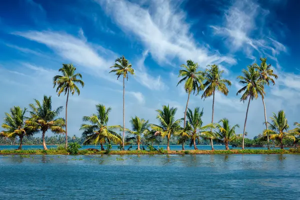 Kerala Reizen Toeristische Achtergrond Palmen Kerala Backwaters Allepey Alappuzha Kerala Rechtenvrije Stockfoto's