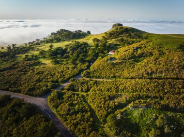 Gökyüzü manzarası. Fanal Laurisilva ormanı. Bulutların üzerinde yol olan yüzlerce yıllık ağaçlar. Madeira Adası, Portekiz