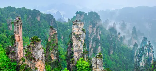 Çin 'in ünlü turistik merkezi - Zhangjiajie taş sütunları Wulingyuan, Hunan, Çin' deki sis bulutları içinde uçurum tepeleri