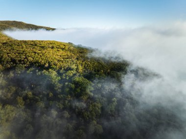 Portekiz 'in Madeira Adası Fanal Dağı' ndaki bulutlardaki yeşil tepelerin hava manzarası.