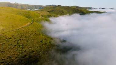 Manzaralı orman ve tepelerin bulutların üstündeki yolu gösteren drone görüntüleri. Madeira Adası, Portekiz. Dolly yaklaşma hareketini başlat