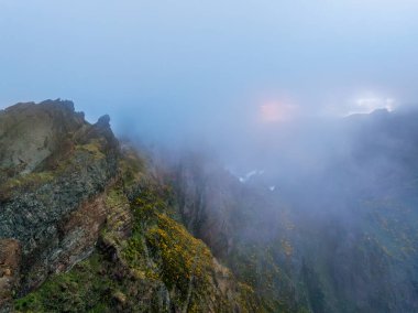 Sis ve bulutlarla kaplı Cytisus çalılarıyla kaplı bir dağ. Pico de Arieiro yakınlarında, Madeira adası, Portekiz