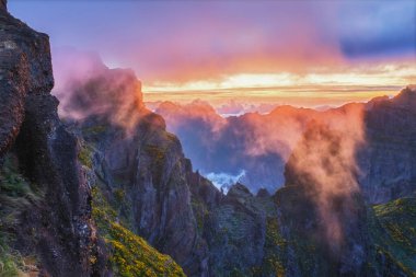 Gün batımındaki dağlar sis ve bulutlarla kaplı, çiçek açan Cytisus çalılarıyla. Pico de Arieiro yakınlarında, Madeira adası, Portekiz