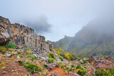 Pico do Arieiro 'ya yakın bulutların içinde Cytisus çalıları olan dağlara bak. Madeira Adası, Portekiz