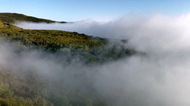Manzaralı ormanın, tepelerin ve bulutların üzerinde uçan insansız hava aracı görüntüleri. Fanal Dağı, Madeira Adası, Portekiz. Dolly yaklaşma hareketini başlat