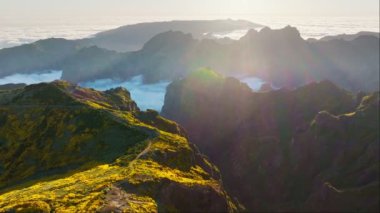 Pico do Arieiro 'daki bulutların üzerindeki hava manzarası gün batımında çiçek açan Cytisus çalılıklarıyla birlikte. Madeira Adası, Portekiz. Çekin geri çekiliş çekimini.