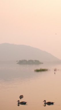 Jaipur 'da gün doğumunda ünlü Hint turist tarihi Jal Mahal (Su Sarayı). Etraftaki ördekler ve kuşlar dingin sabahın tadını çıkarıyorlar. Jaipur, Rajasthan, Hindistan. Yatay tava