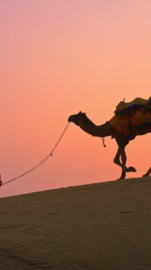 Gün batımında Thar Çölü 'nün kum tepelerindeki deve siluetleriyle Hintli kambur (deve sürücüsü). Rajasthan 'daki karavan turizm arka planında safari macerası. Jaisalmer, Rajasthan, Hindistan