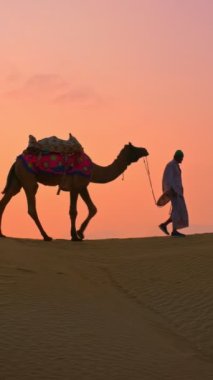 Gün batımında Thar Çölü 'nün kum tepelerindeki deve siluetleriyle Hintli kambur (deve sürücüsü). Rajasthan 'daki karavan turizm arka planında safari macerası. Jaisalmer, Rajasthan, Hindistan