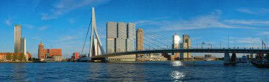 Rotterdam cityscape Nieuwe Maas nehri günbatımı üzerinde Erasmus Köprüsü ile Panoraması. Hollanda